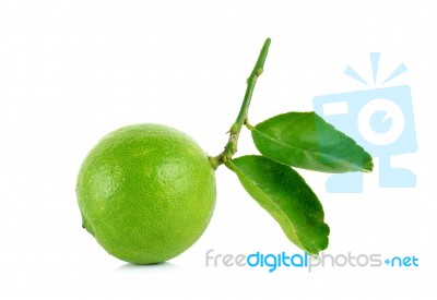 Fresh Lime Isolated On The White Background Stock Photo