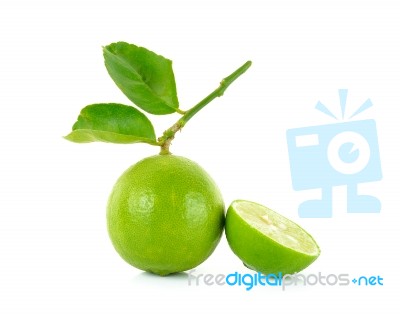 Fresh Lime Isolated On The White Background Stock Photo