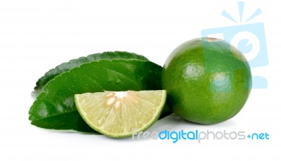 Fresh Lime Isolated On The White Background Stock Photo