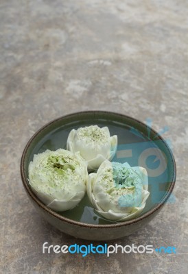 Fresh Lotus Flower Floating In The Bowl With Space On Background… Stock Photo