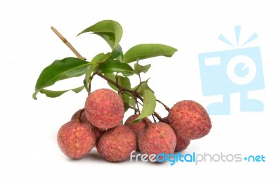 Fresh Lychees Stock Photo