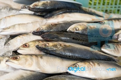 Fresh Mackerel Fish On Ice At The Market Stock Photo