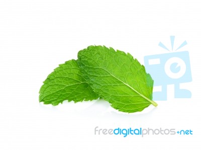 Fresh Mint Isolated On The White Background Stock Photo