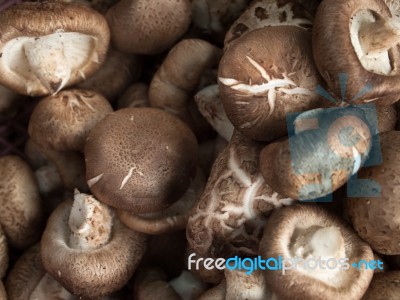 Fresh Mushrooms Stock Photo