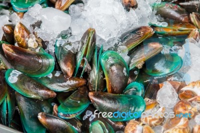 Fresh Mussels Stock Photo