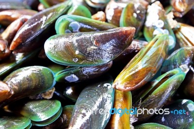 Fresh Mussels Stock Photo