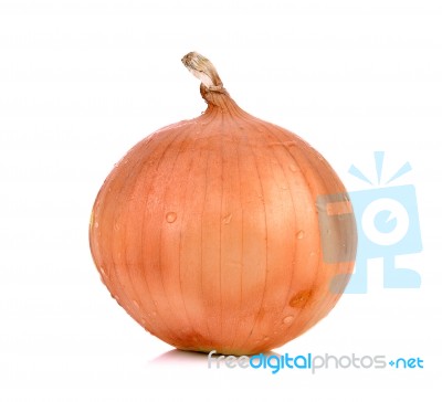 Fresh Onion Isolated On White Background Stock Photo