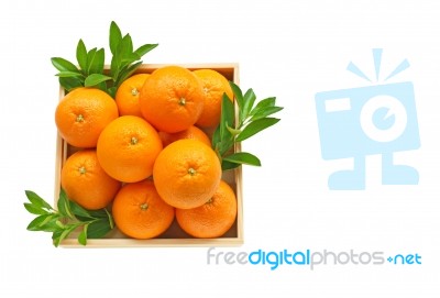 Fresh Orange Citrus Fruit In Wooden Box Stock Photo