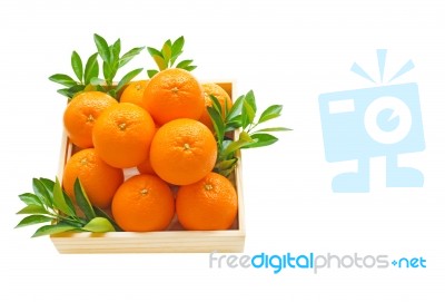 Fresh Orange Citrus Fruit In Wooden Box Stock Photo