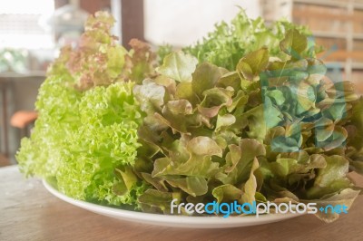 Fresh Organic Mix Salad Vegetable Stock Photo