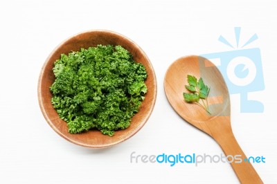 Fresh Parsley  On White Stock Photo