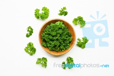 Fresh Parsley  On White Stock Photo