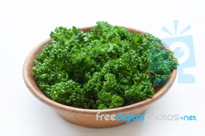 Fresh Parsley  On White Stock Photo