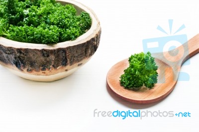 Fresh Parsley  On White Stock Photo