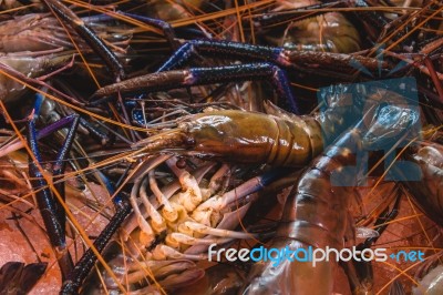 Fresh Prawns Stock Photo