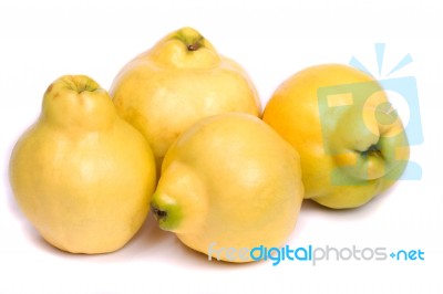 Fresh Quince Fruit Stock Photo