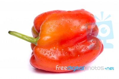 Fresh Red Bell Pepper Stock Photo