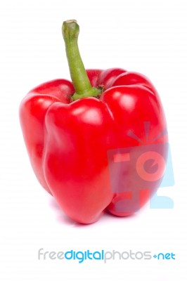 Fresh Red Bell Pepper Stock Photo