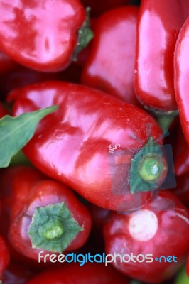 Fresh Red Hot Peppers From The Garden Stock Photo