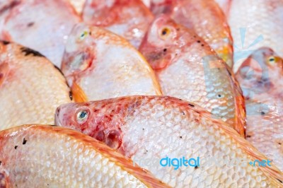 Fresh Red Tilapia Fish Aka Pla Tabtim On Ice Exposition At The S… Stock Photo