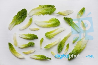 Fresh Romaine Lettuce Isolated On A White Background Stock Photo