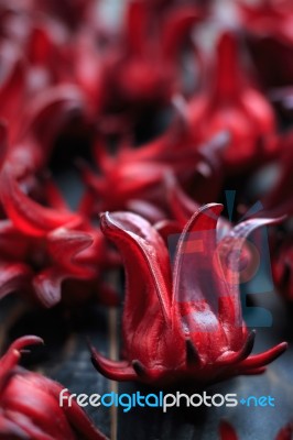 Fresh Roselle Stock Photo