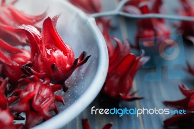 Fresh Roselle Stock Photo