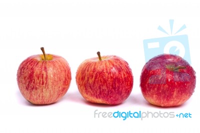 Fresh Royal Gala Apples Stock Photo