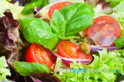 Fresh Salad Stock Photo