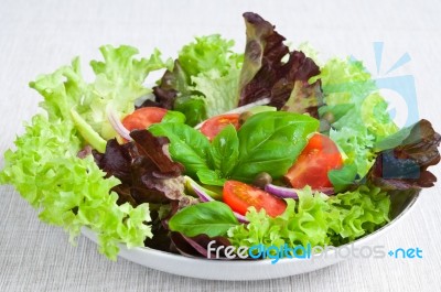 Fresh Salad Stock Photo