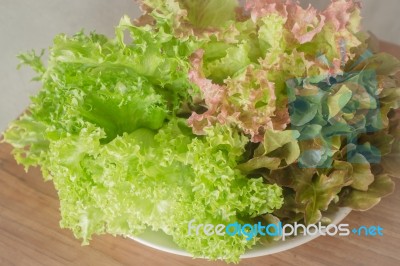 Fresh Salad Vegetable On Wooden Background Stock Photo