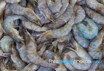 Fresh Shrimp Background Stock Photo