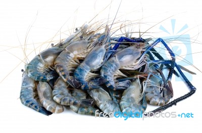 Fresh Shrimp Isolated On The White Background Stock Photo