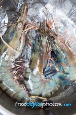 Fresh Shrimp On Ice Stock Photo