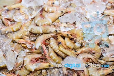 Fresh Shrimps On Ice Exposition At The Seafood Market In Thailan… Stock Photo