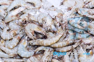 Fresh Shrimps On Ice Exposition At The Seafood Market In Thailan… Stock Photo