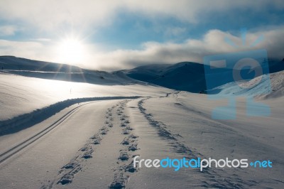 Fresh Snow At Snow Farm Stock Photo