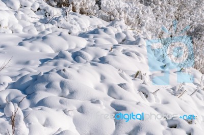 Fresh Snow Cover In Tree At Closeup, Winter Landscape Stock Photo