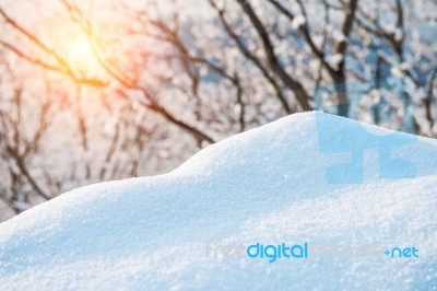 Fresh Snow Cover,winter Background Stock Photo