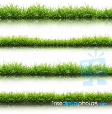 Fresh Spring Green Grass Isolated With Water Reflection Stock Photo