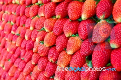 Fresh Strawberries Stock Photo