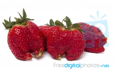 Fresh Strawberries Fruits Stock Photo