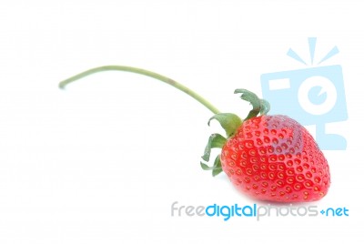 Fresh Strawberry Stock Photo