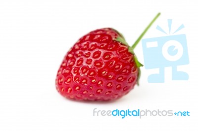 Fresh Strawberry Stock Photo