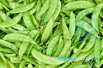 Fresh Sugar Pea Stock Photo