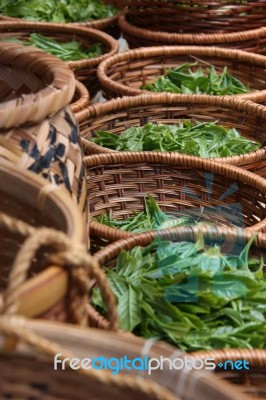 Fresh Tea Leaves In The Baskets Stock Photo