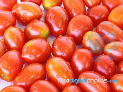 Fresh Tomatoes Stock Photo