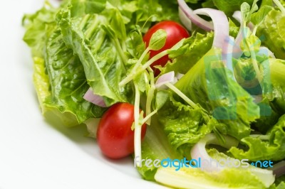 Fresh Vegetable Salad Stock Photo