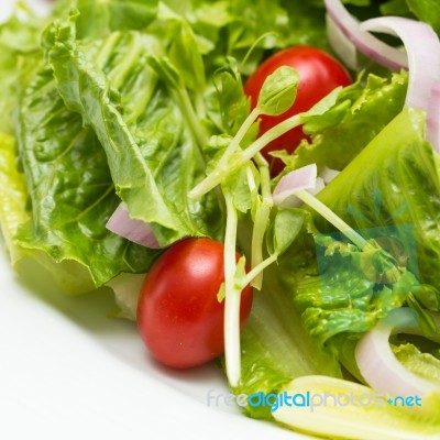 Fresh Vegetable Salad Stock Photo