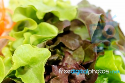 Fresh Vegetable Salad Stock Photo